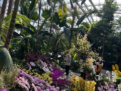 -国家植物园南园