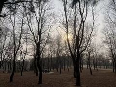 -东海森林温泉度假酒店