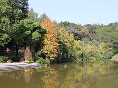 -云溪植物园