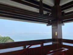-大湾区中央湿地公园
