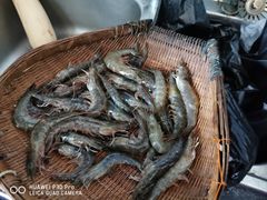 -渔人湾码头海鲜市场负二楼