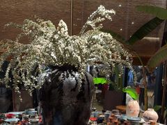 -元生咖啡(陶溪川店)