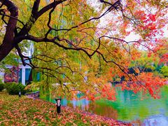 -钓鱼台国宾馆