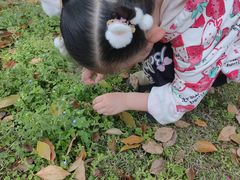 -常德桃花源景区