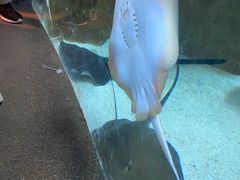 -珠海长隆海洋王国