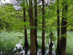 -兰亭风景区