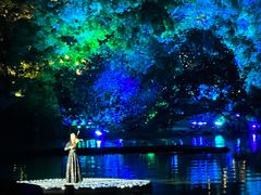 -印象西湖·最忆是杭州实景演出