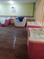 -生命加•Q考拉月子会所(玫瑰园店)