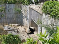 -南宁市动物园