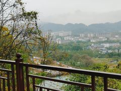 -巴倒烫陆派重庆火锅(南山店)