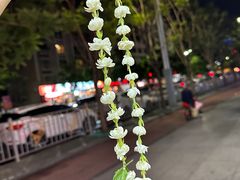 -杨记山珍鸡煲菌汤锅