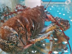 -一品江南韵·淮扬菜