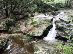 -燕子河大峡谷天坑仙境