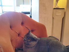 -Me Coffee下午茶艺术空间