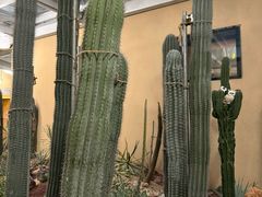 -正佳雨林生态植物园