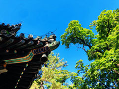 -潭柘寺景区