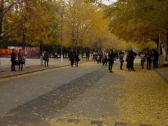 android_upload_pic-辽宁大学(崇山校区)