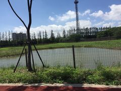 -上海长兴岛郊野公园