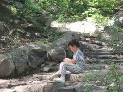 -阳台山自然风景区