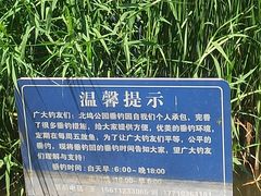 -北坞公园