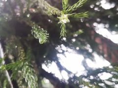 -重庆抗战遗址博物馆
