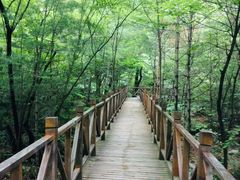 -青峰峡国家森林公园