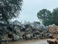 -青藏高原野生动物园