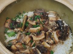 -红星光发煲仔饭(文海店)