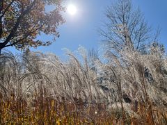 -野鸭湖国家湿地公园