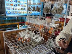 -蓝湾碧波·老字号·疍家非遗海上餐厅