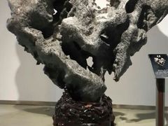 android_upload_pic-中华赏石园
