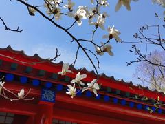 -红螺寺