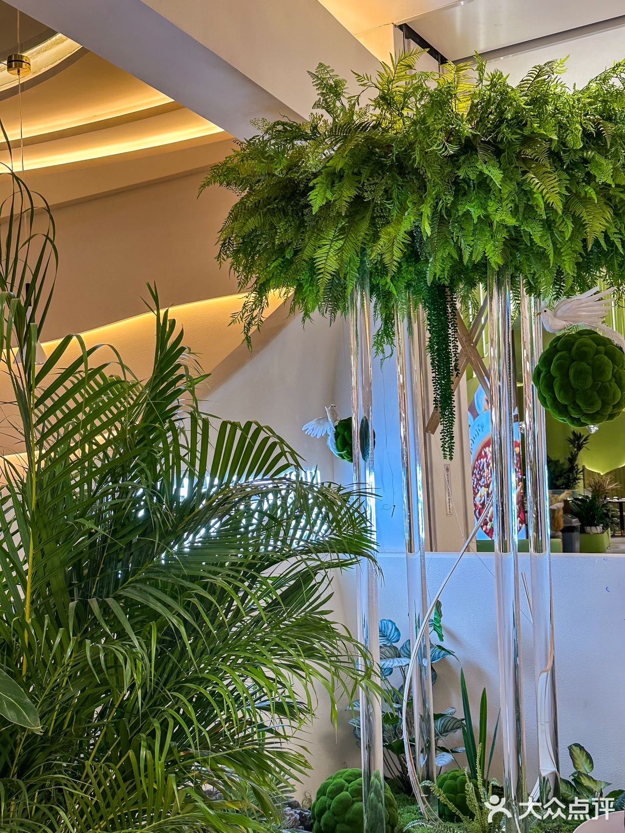 火爆全网的特色川菜