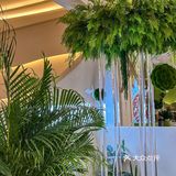 火爆全网的特色川菜