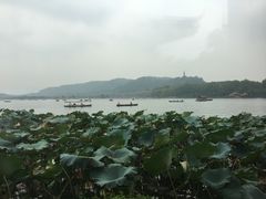 -湖畔居茶楼(湖滨店)