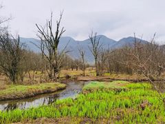 -神农架景区