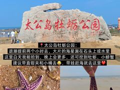 -巧克力渔家.小船海鲜家常菜(万平口店)