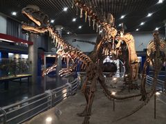 -国家自然博物馆