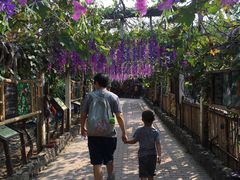 -呀路古热带植物园