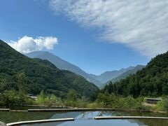 -卧龙中华大熊猫苑神树坪基地