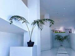 -罗红摄影艺术馆