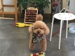 -沙青(江场二路店)