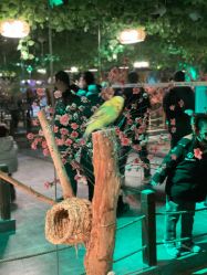 -酷嗒动物文化乐园(cutezoo西溪乐天城店)