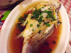 -聂记粤菜馆(鼓西路店)