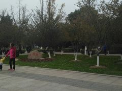 -荆川公园