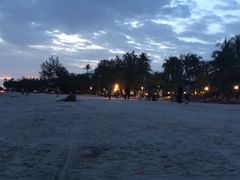 -真浪花园海鲜餐馆