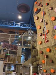 -卡通尼·Safari非洲探索乐园·生日会(金桥国际商业广场店)