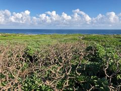 -龙坑生态保护区