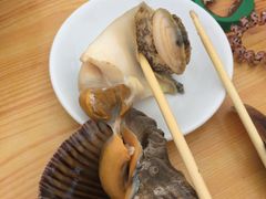 -大鹿岛