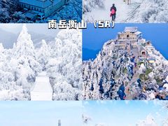 -广州长隆野生动物世界